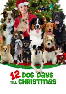 12 Dog Days Till Christmas poster