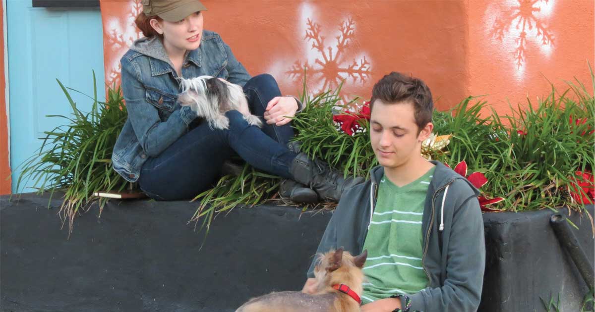 Grainne McDermott and Vincent Giovagnoli in 12 Dog Days Till Christmas